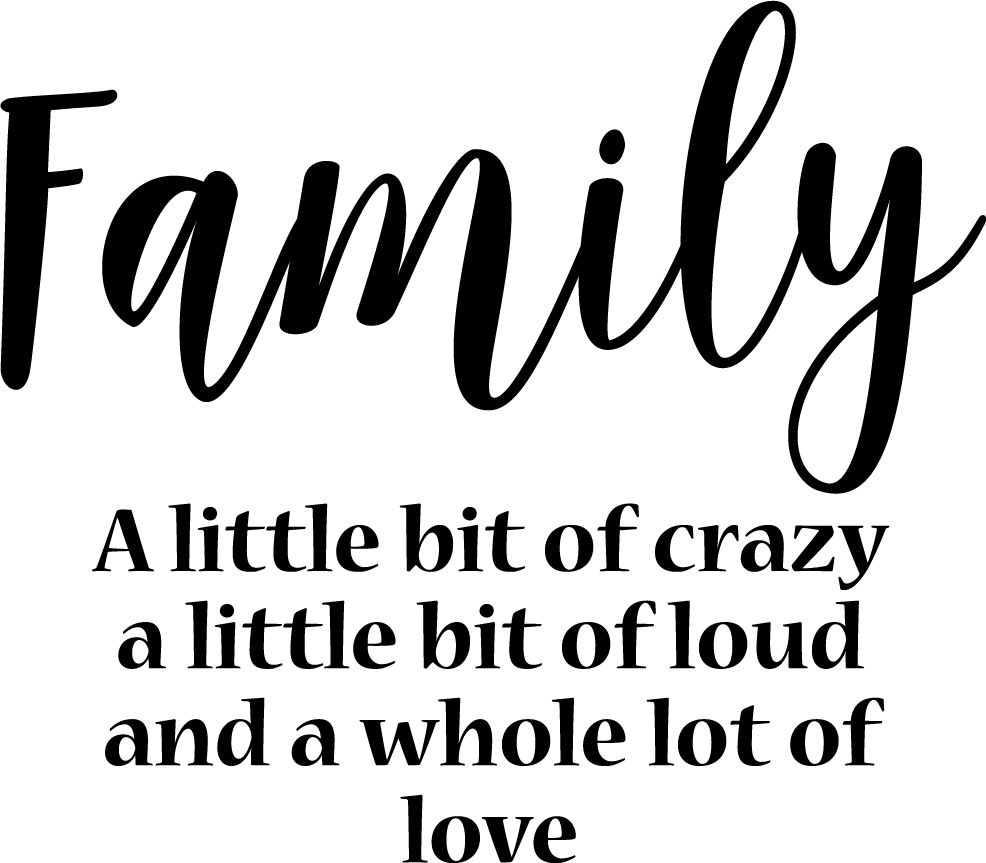 Vinyl Wall Art Decal - Family A Little Bit of Crazy Lot of Love