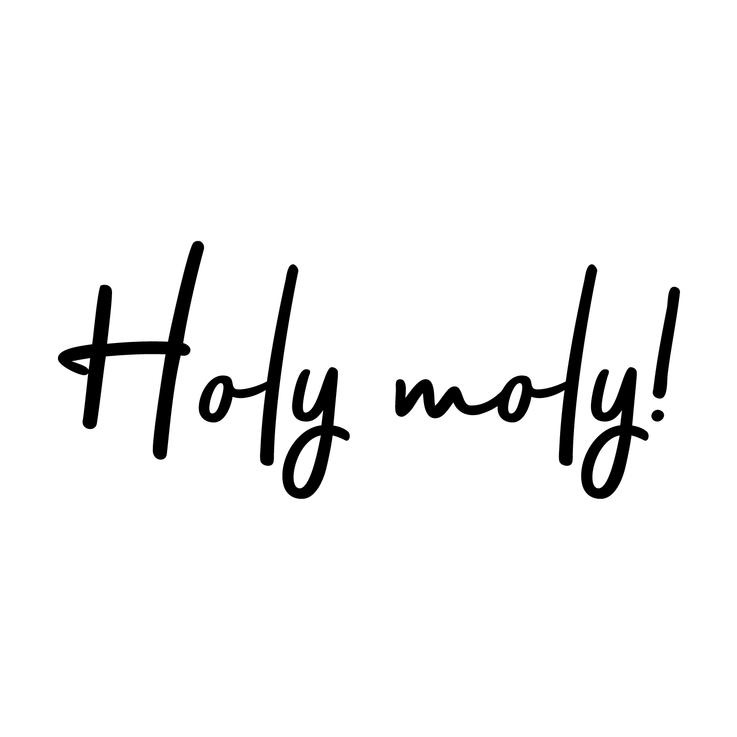 vinyl-wall-art-decal-holy-moly-12-5-x-30-modern-funny-surprise