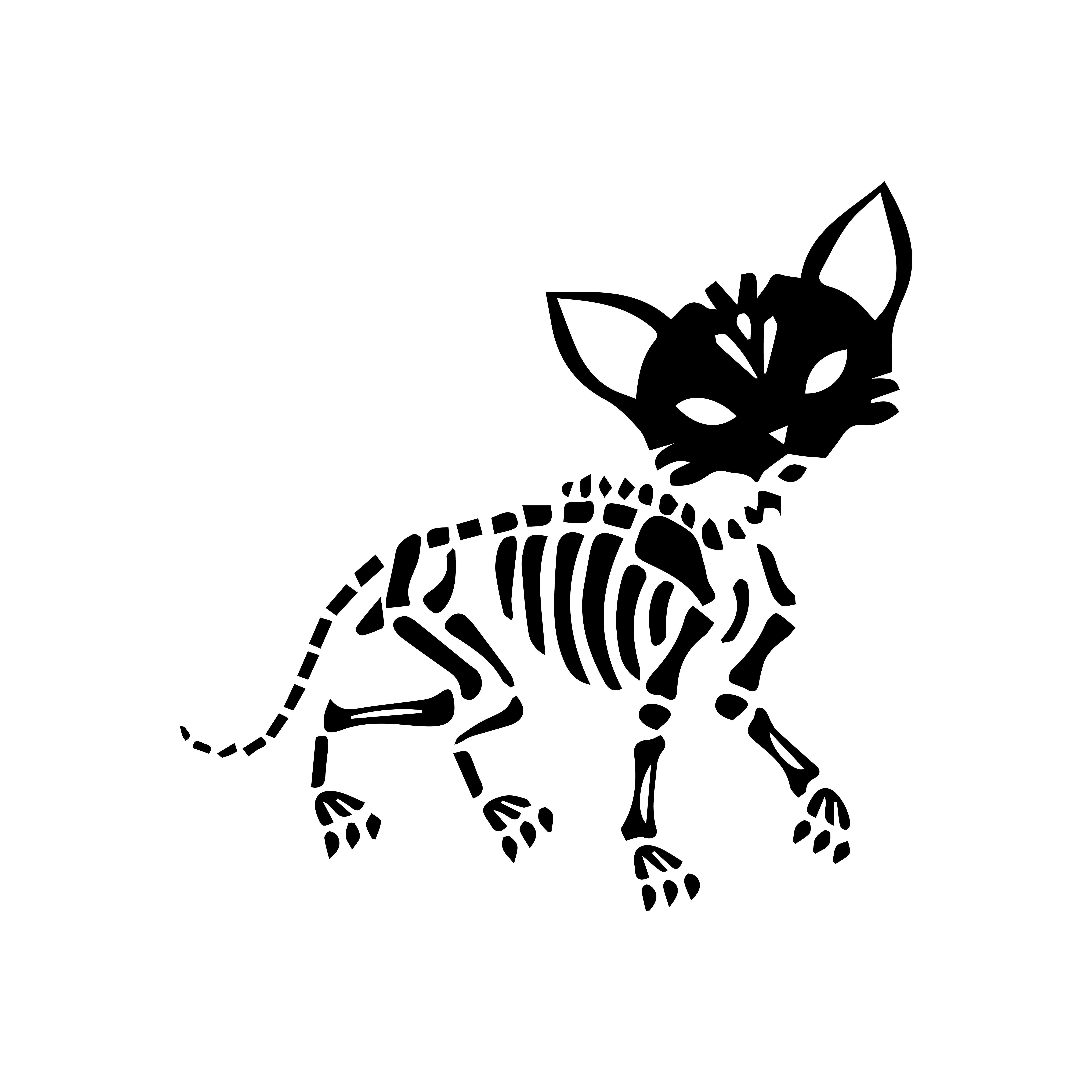 Скелет кошки Хэллоуин
