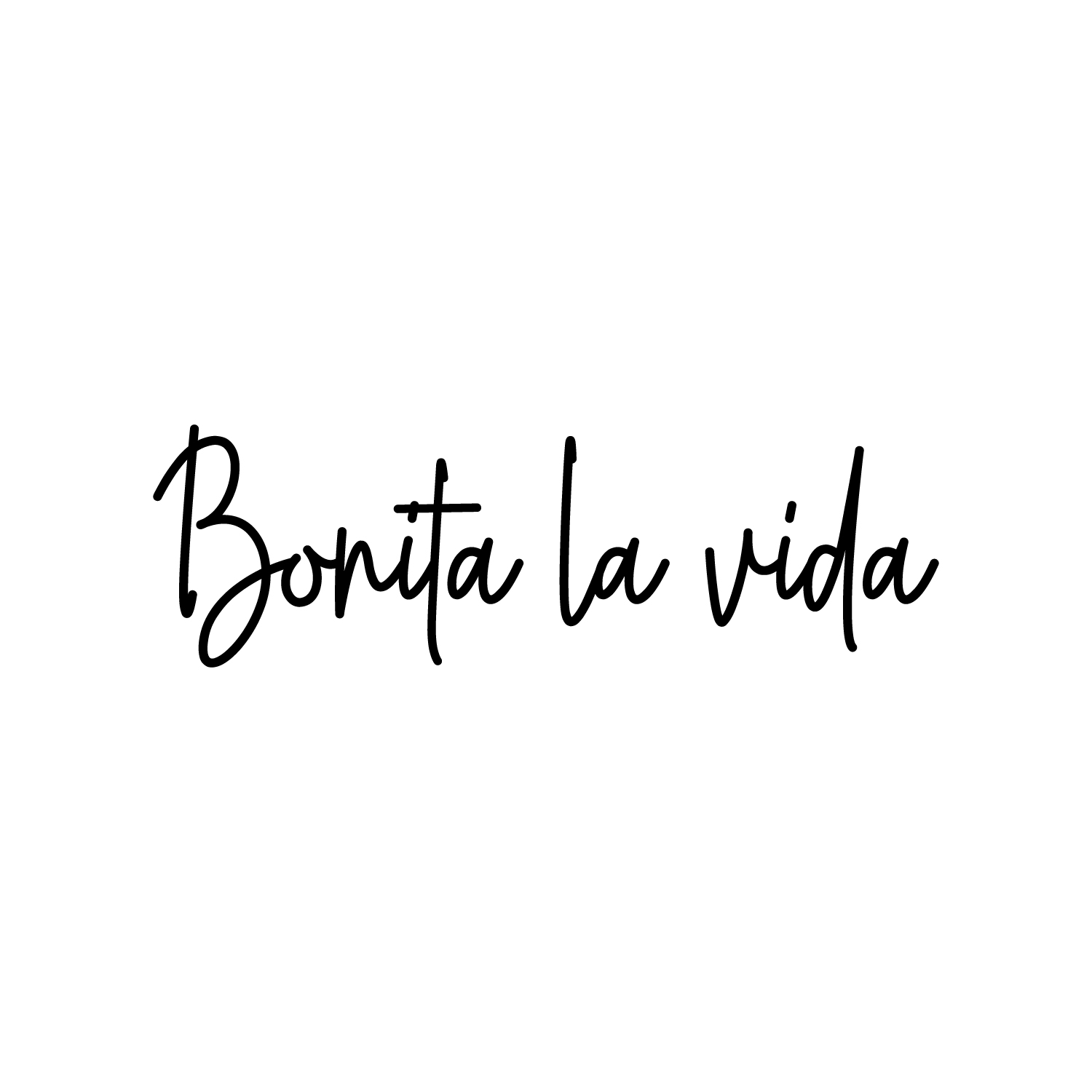 Vinyl Wall Art Decal Bonita La Vida / Beautiful Life 6" x 20