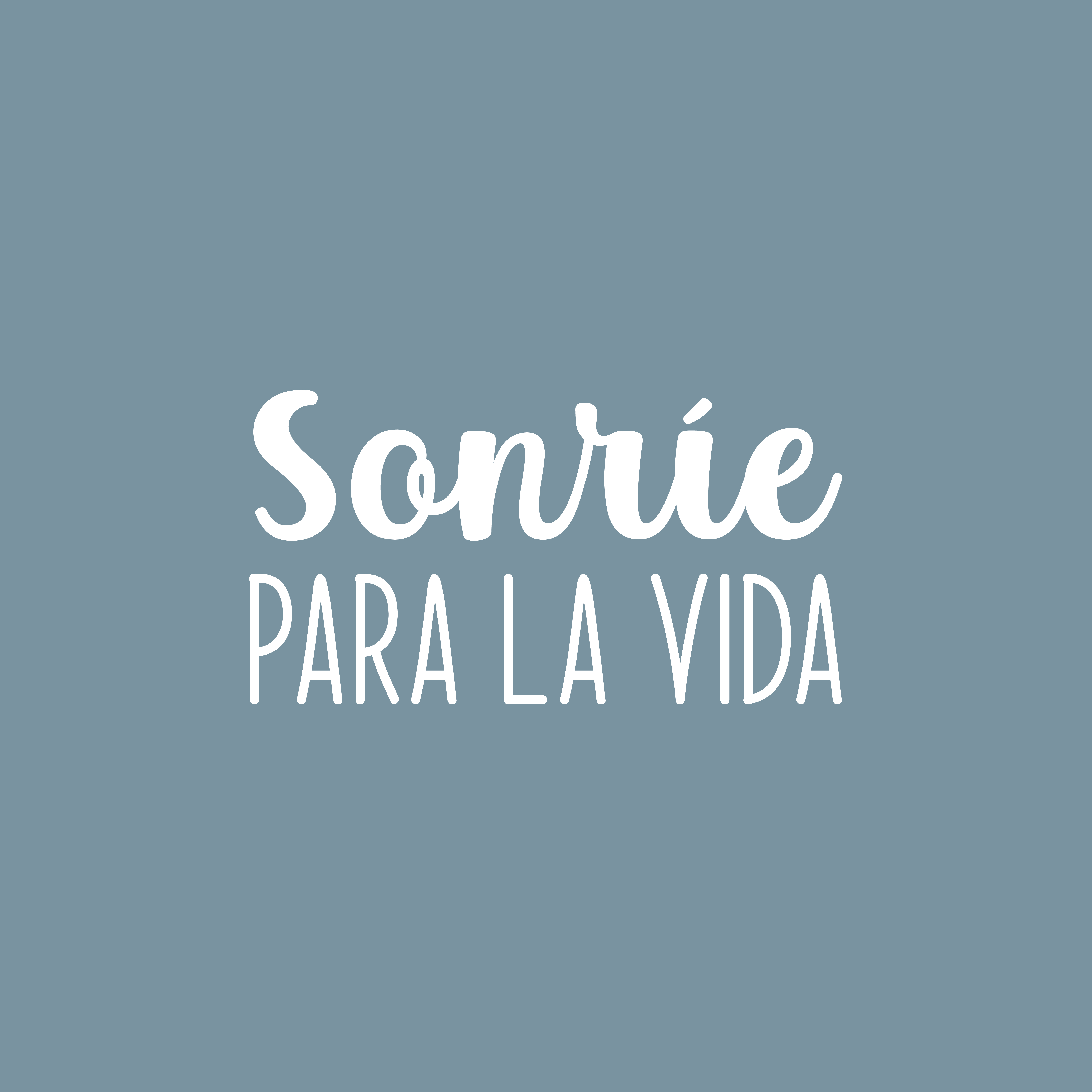 Sonr�e para La Vida / Smile for Life - White 13.5" x 25" Wall Art Decal Vinyl