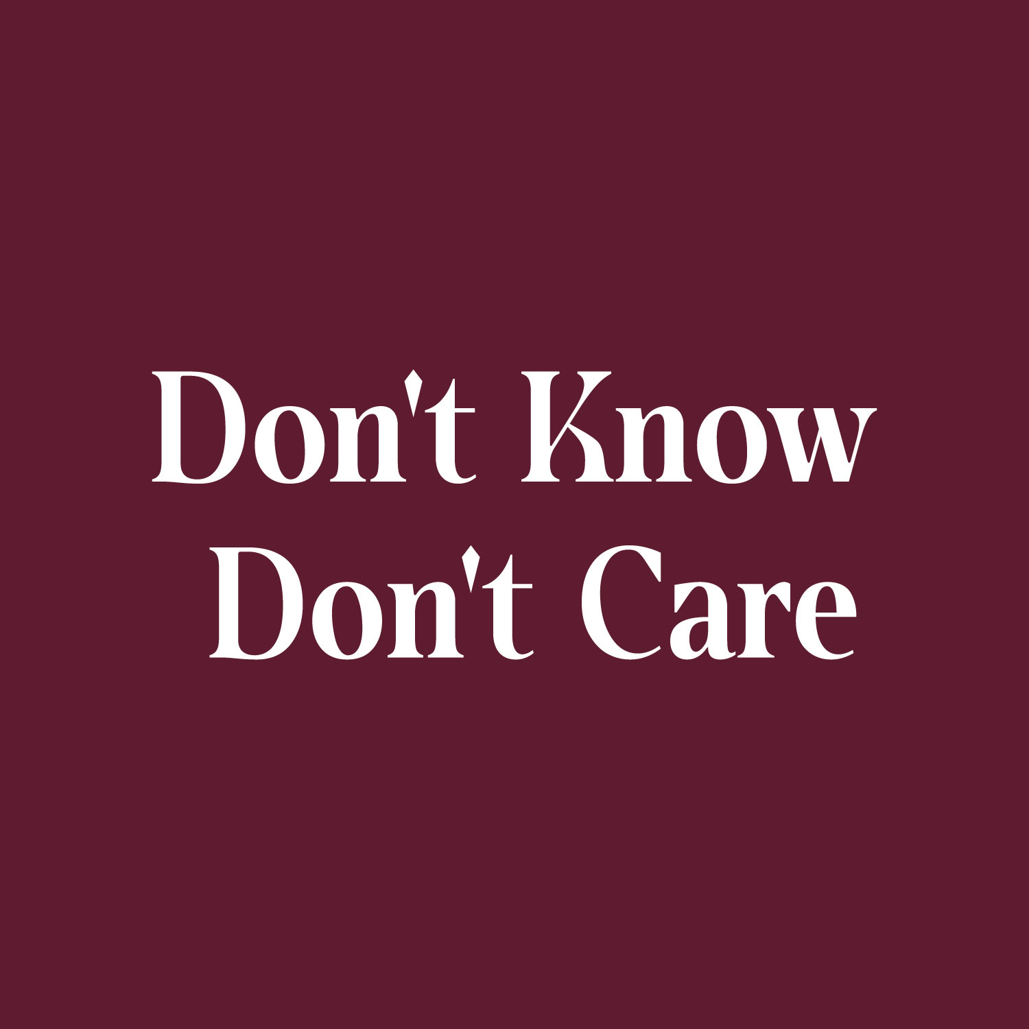 Vinyl Wall Art Decal Don't Know Don't Care 12" x 30" Trendy
